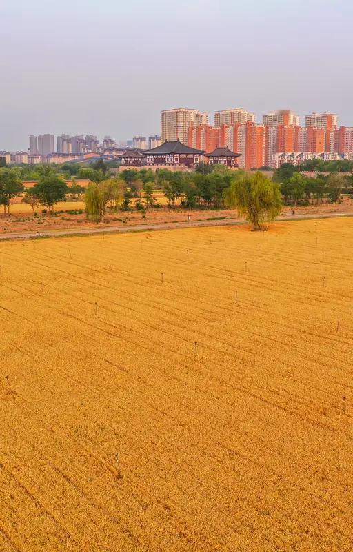 春播禾千亩，请对5字下联秋收万亩田