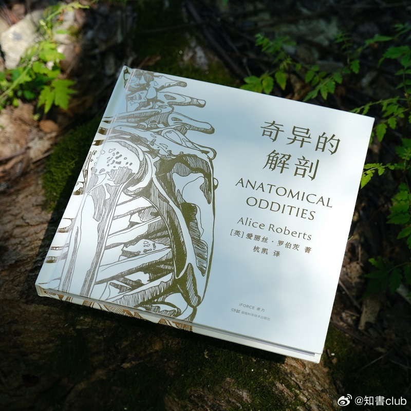 知書club 序言丨人体曾经被凝视，被审视，被测量，被肢解后重组，或肢解后不重组