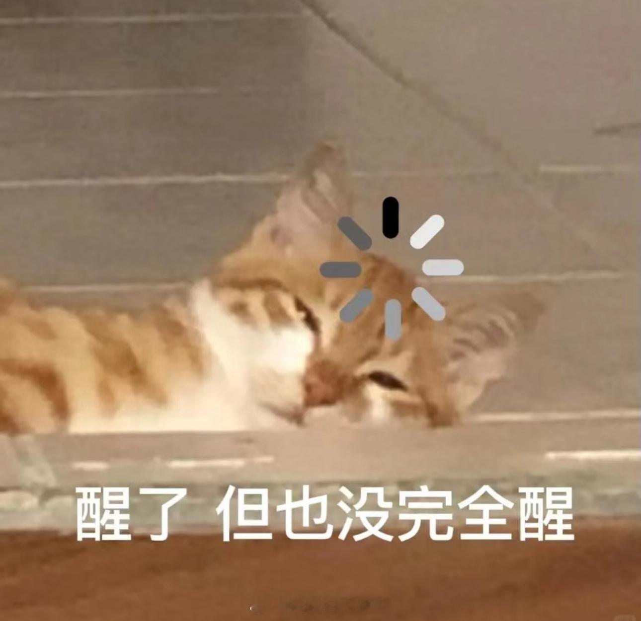 #推文[超话]# 一月一度的言情搭楼求文专场，大家评论区留下自己想看的类型文，或