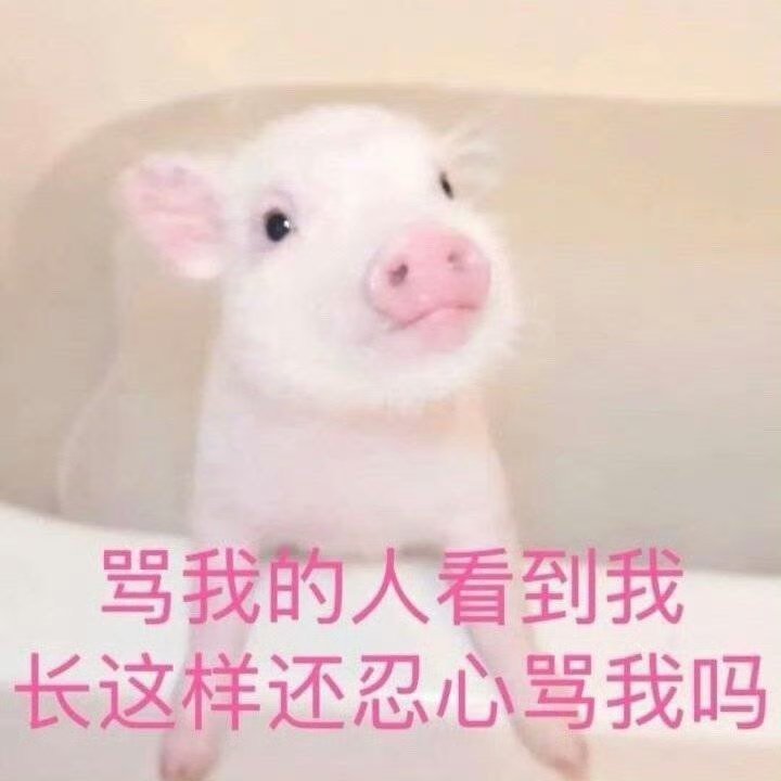 老公们晚安 我猪眠了 