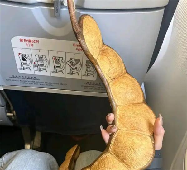 1米长豆荚为何能过安检？你以为带的是植物，其实是“开光法器”
在云南，1米长的榼