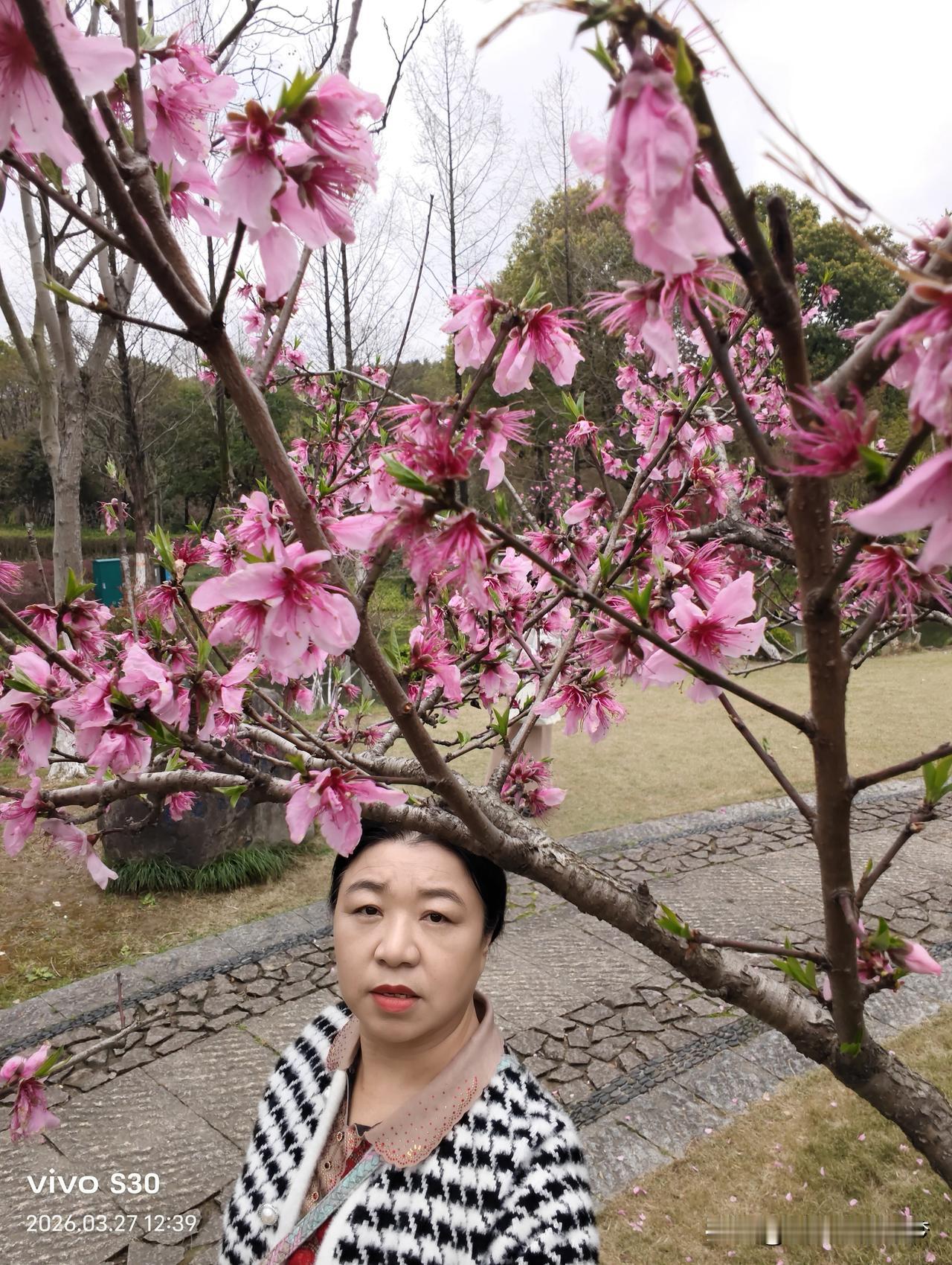 晒图大赛