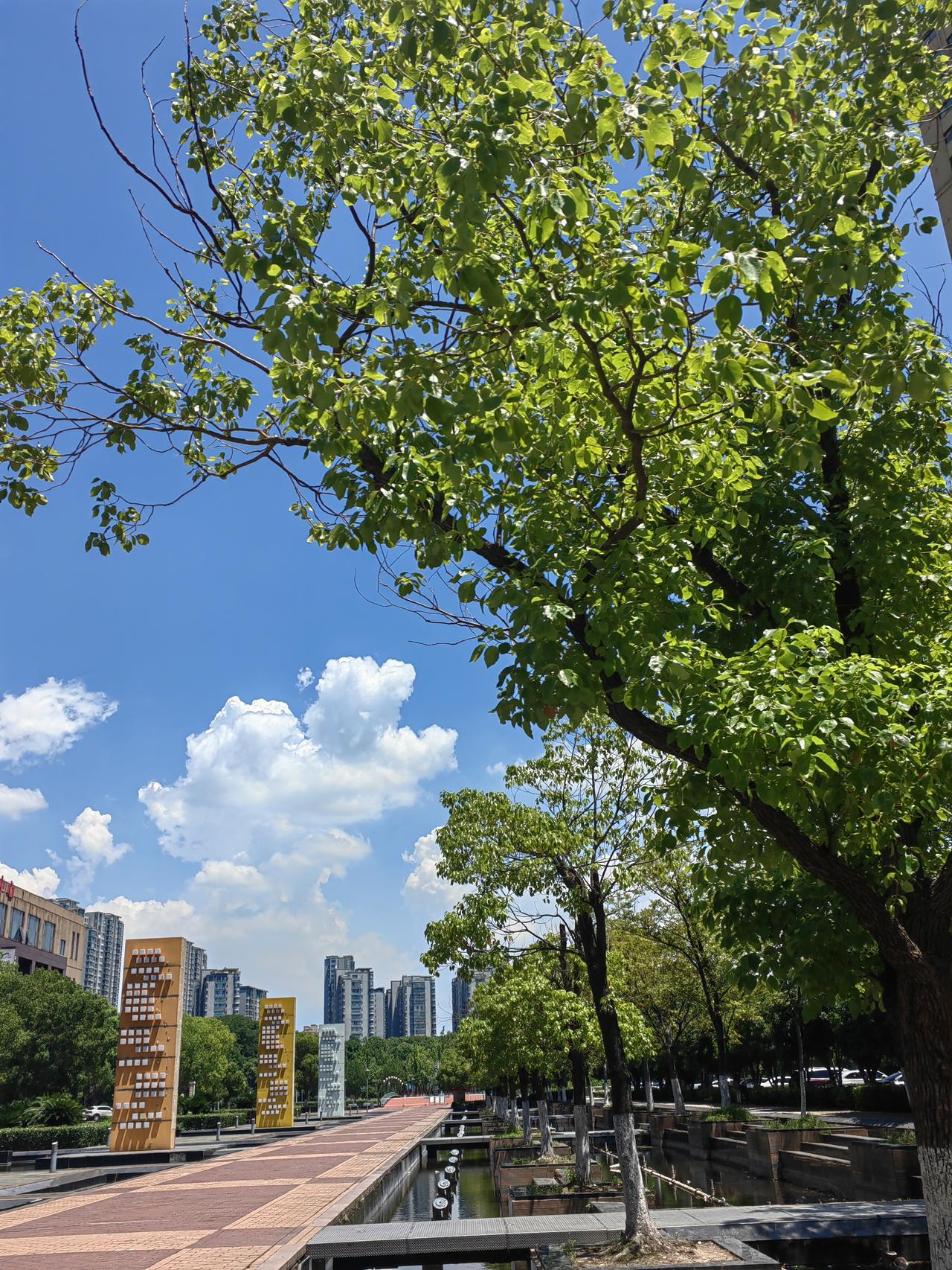 毕竟是盛夏。湖塘的午间。