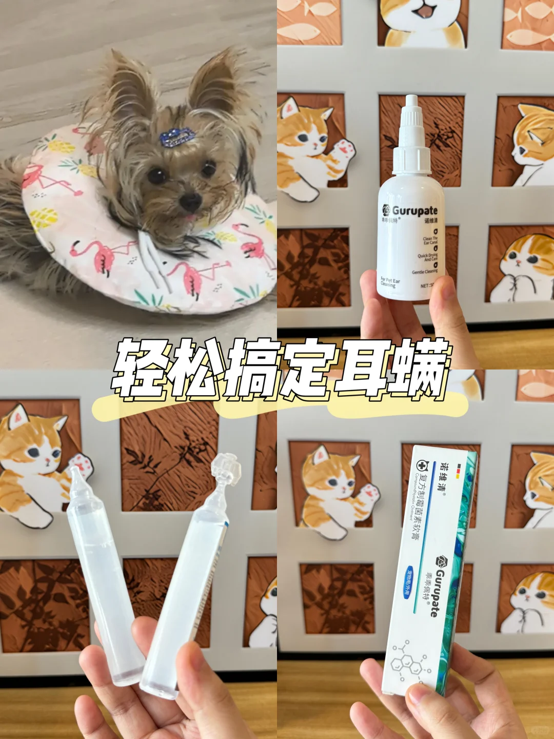 不到100米轻松搞定马拉色菌