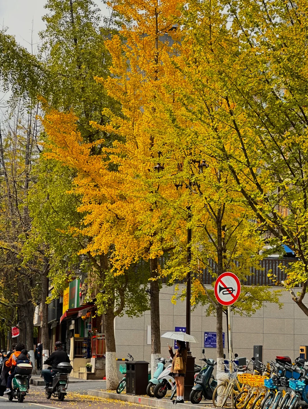 ²⁰²⁴/₁₁.₁₁🍂冬日暖阳下的文林街