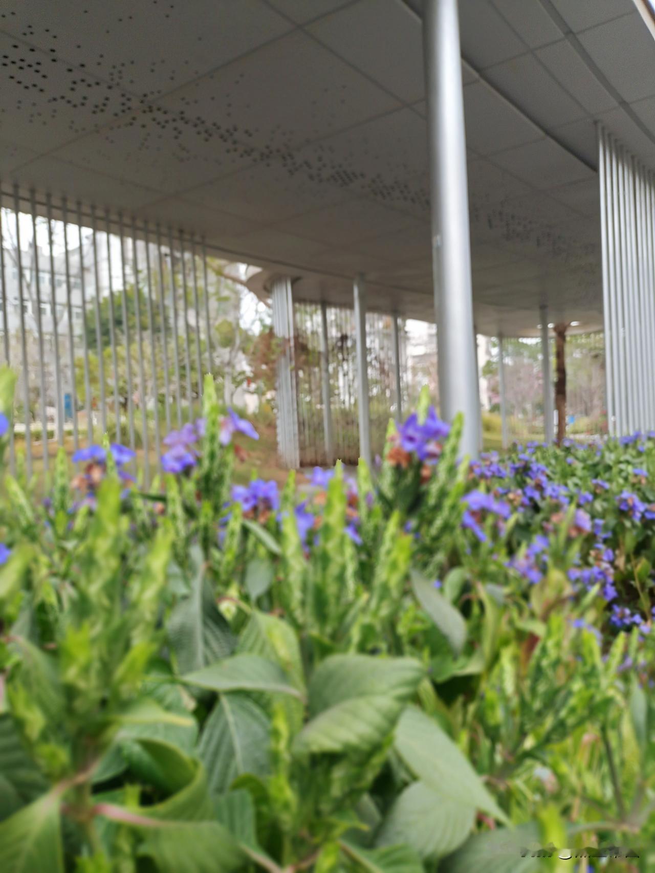 以前穷，大家却怀念，原因还挺多。过去生活节奏慢，简单纯粹，没那么多繁杂与浮躁。邻