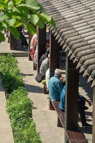 在上海生活的最悠闲、最安逸、最惬意的退休老人不一定养老金过万，但一定都具备以下8