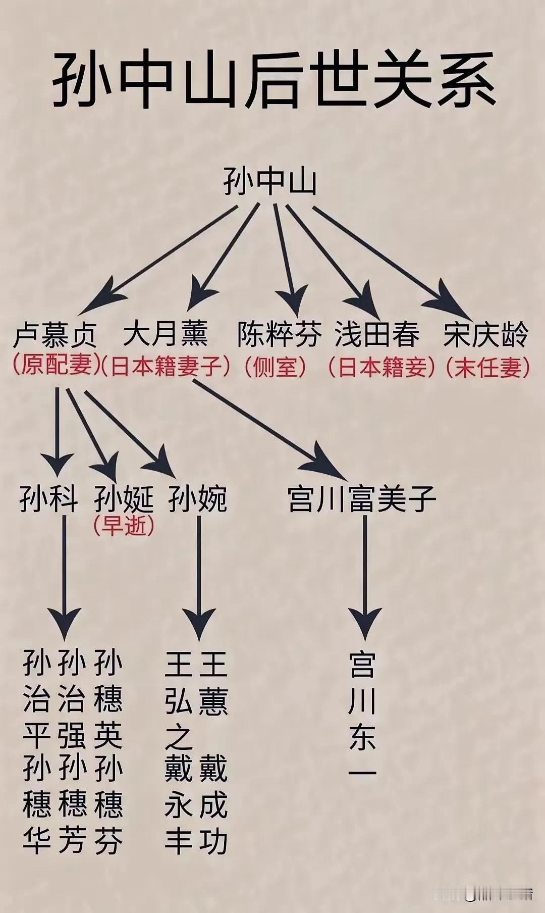 孙中山先后有5个妻妾，后代人丁最兴旺的是原配这一房。日本妻子也有后代。