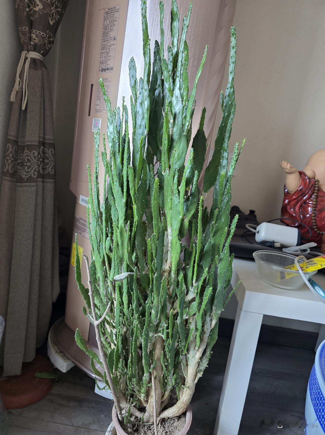 没有任何责任，也要赔死者1.9万元的新闻，你看了吗？有什么想法？
 
近日，湖南