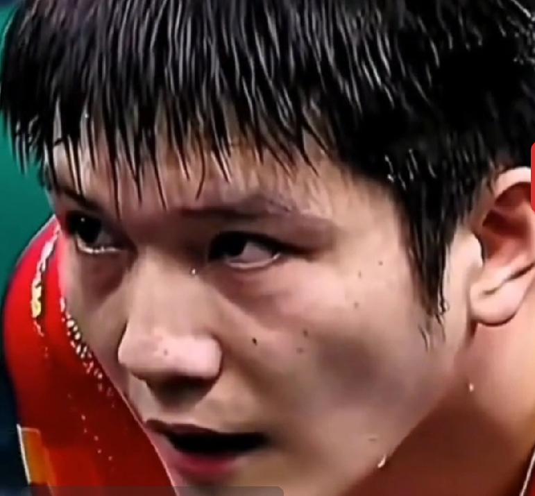 樊振东携手萨尔布吕肯，一路披荆斩棘，登顶德国杯之巅，为这支小众小城球队斩获队史首