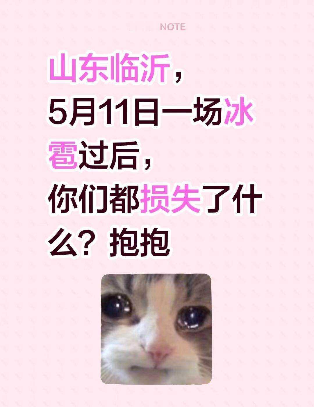 山东临沂，5月11日一场冰雹过后，你们都损失了什么？抱抱临沂天气 冰雹灾害 山东