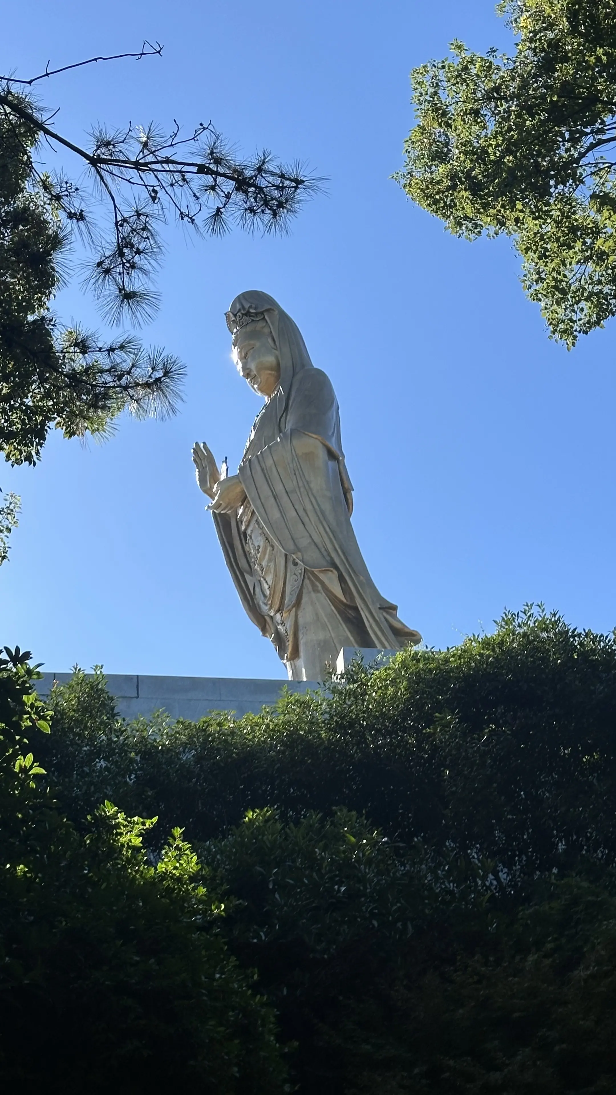 九月，万事皆宜🙏