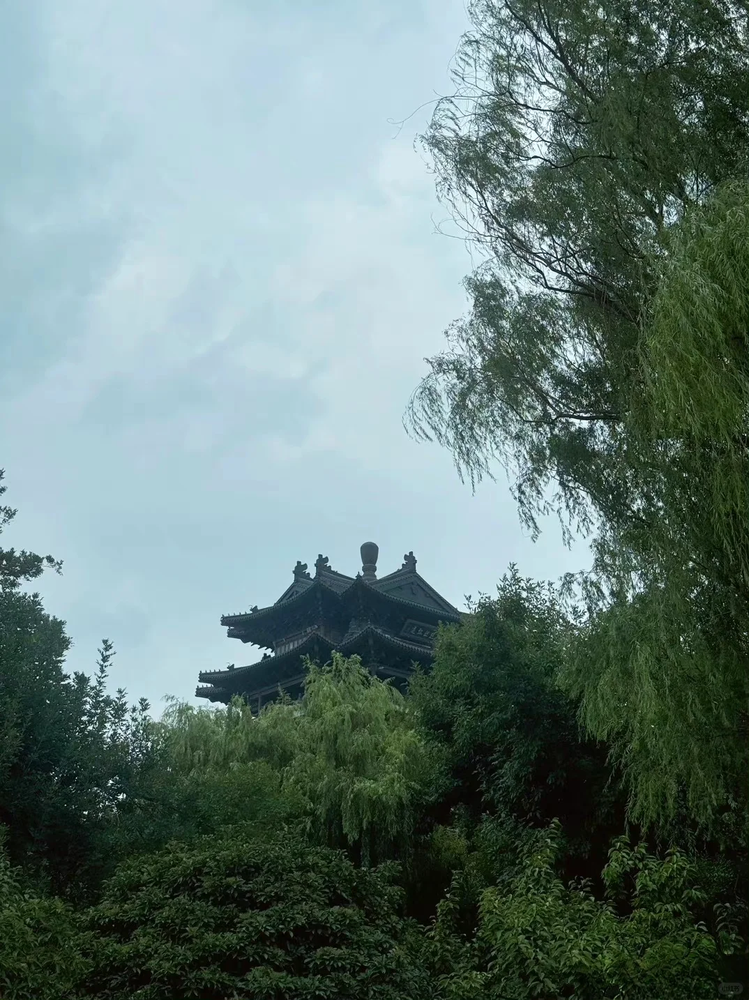 越来越多的人，开始在当下离火运选择修行。
