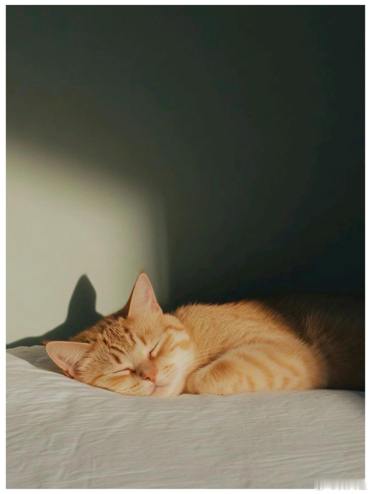 突然感到很辛酸，一个人走了很长的路，从小到大漂泊在外，从小时候的求学到后来的就业