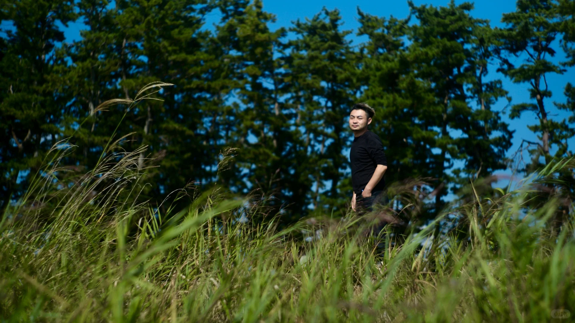 给生活诗人整一顿回归宴