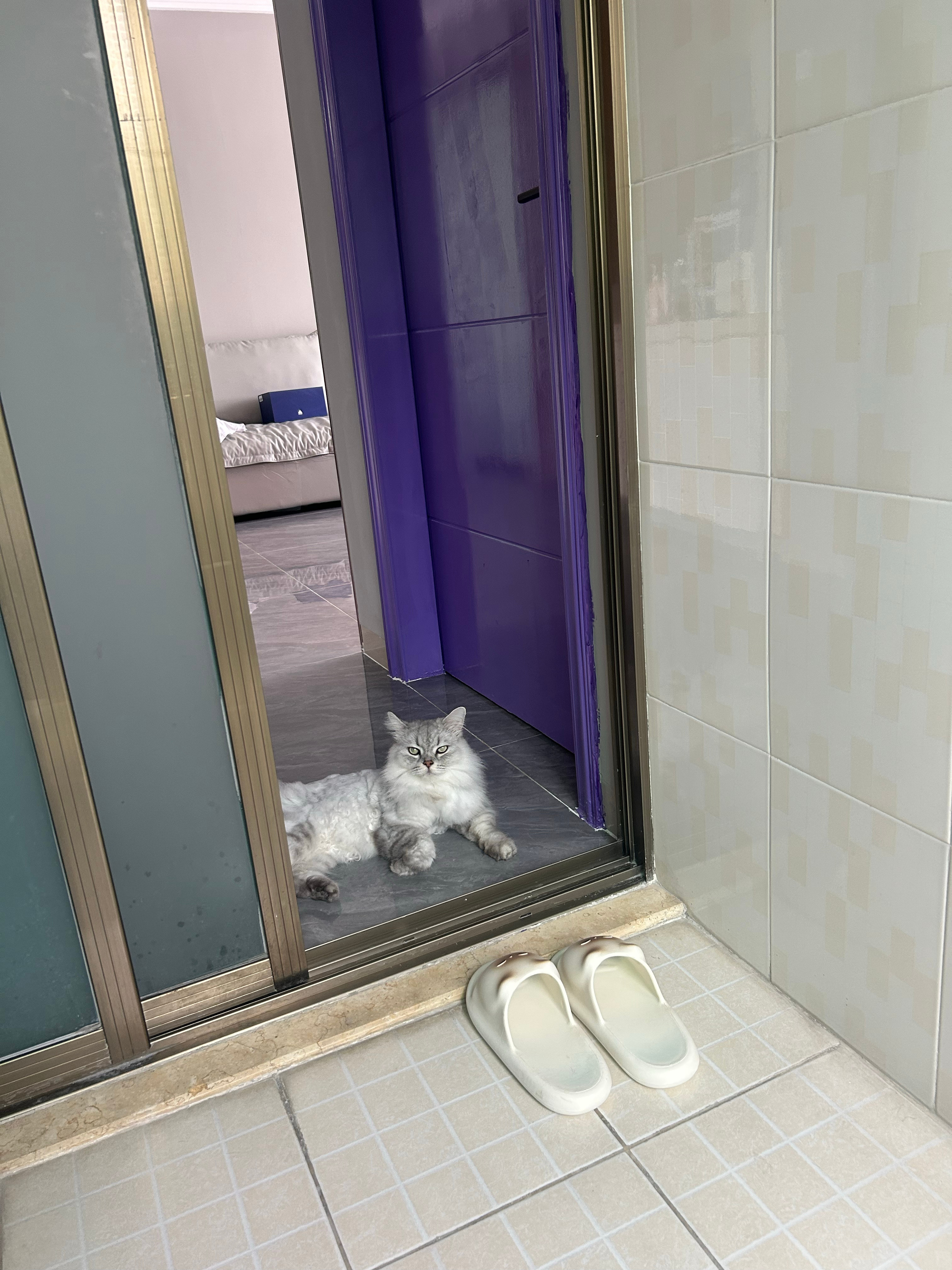 图八的山楂条特别好吃，楼下超市随便买的，为什么叫小书包呢，好可爱的名字，还留了个