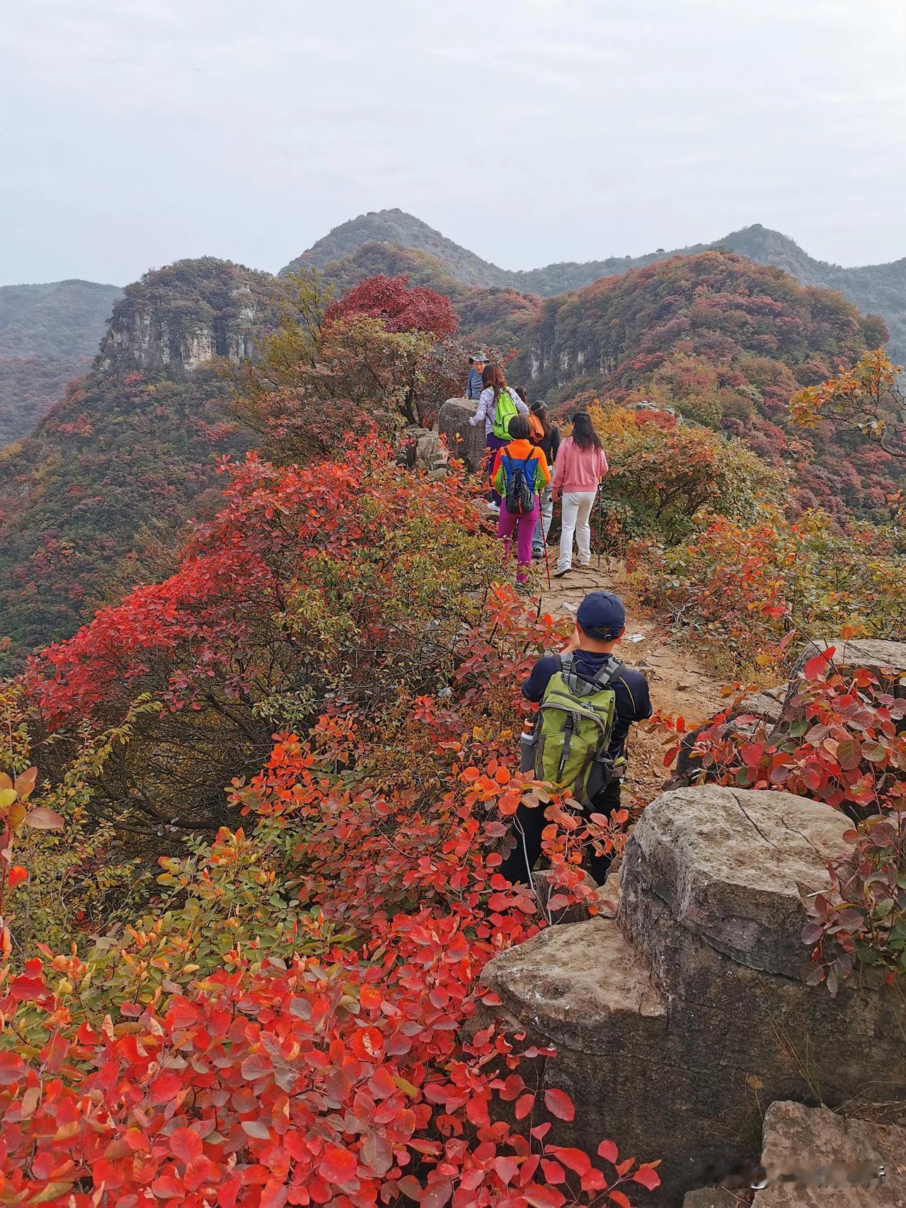 今天，自驾青州齐鲁天路，徒步仁河峡，探秘高门洞，赏秋锯齿崖，品尝农家餐，全程免费