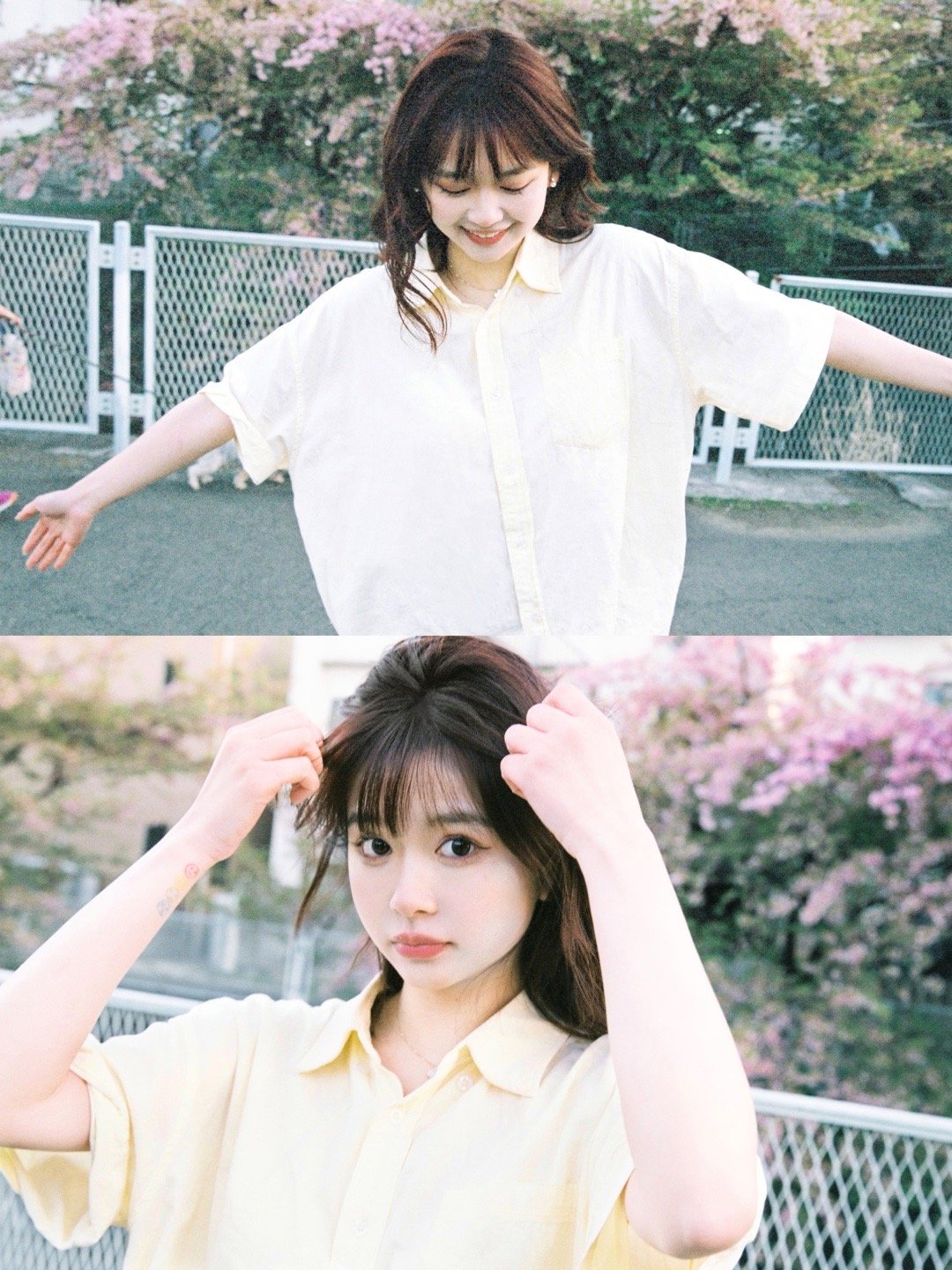 樱花树下上海约拍[超话] 东京写真 ​​​