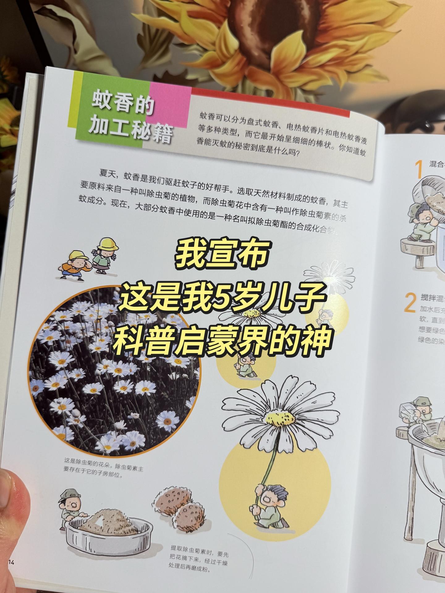 挖到宝啦！谢谢你！让6岁儿子知识量猛涨！！ 《身边的科学》原本以为只是...