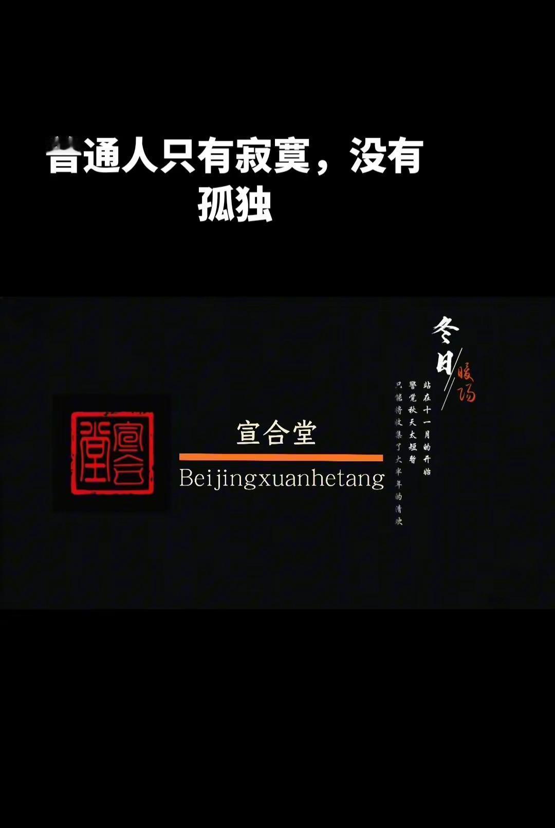 普通人只有寂寞，没有孤独。普通人只有寂寞，没有孤独宣合堂 书法篆刻