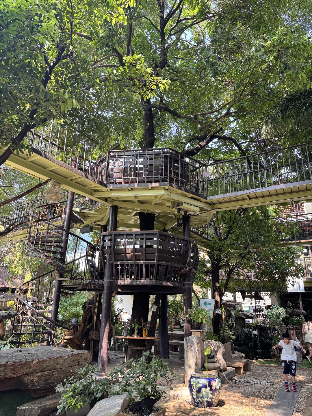 🇹🇭曼谷可以看孔雀🦚的咖啡花园