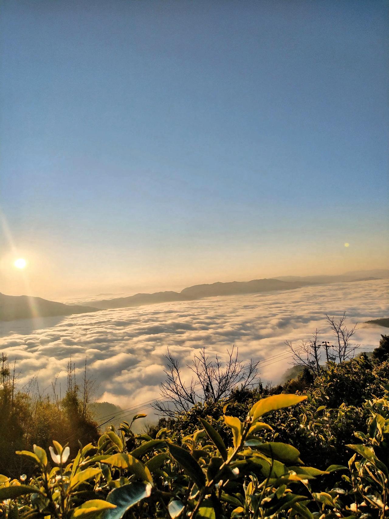 观邦东云海，品昔归茗茶，享自然美景。