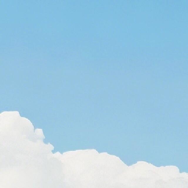 森林驿站  💫阳光信用  💫森林驿站 善良是黑夜的月光，给夜行的人照亮前行的