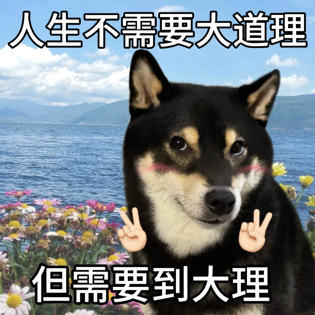 五一旅游我就这样发💃🏻