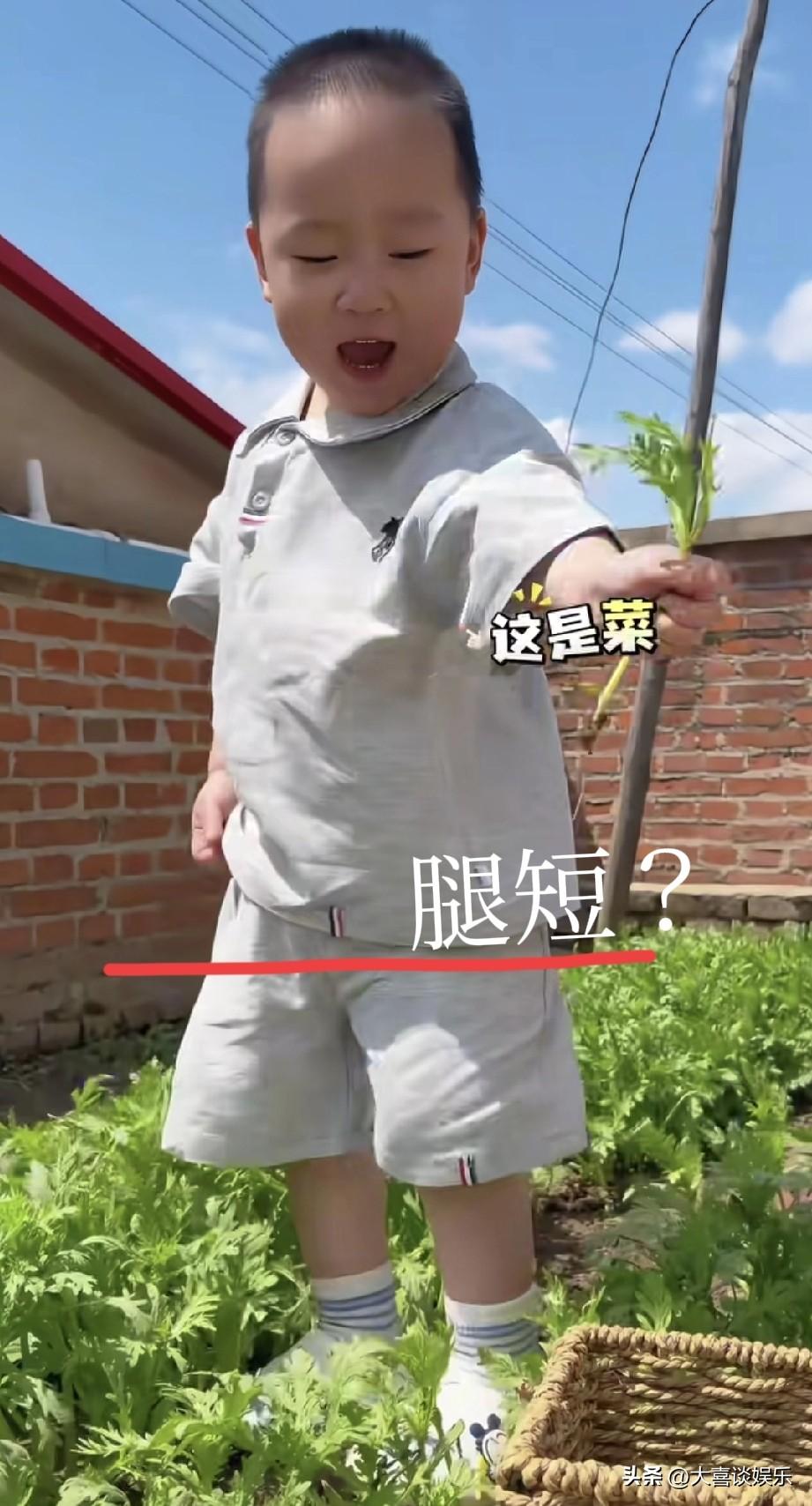 说了会被骂，那我也要说。

米乐都快三岁了，走路东倒西歪，认知也很差，真心建议快