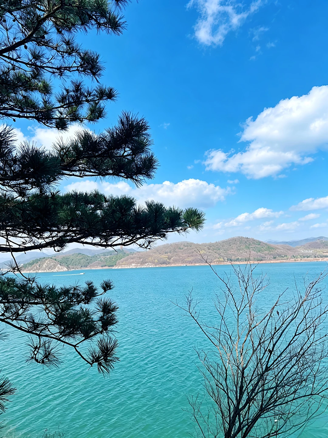 金海湖小众徒步 环湖八公里赏湖光山色