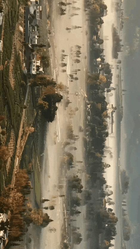 火到人民日报了！四川，一男子上山用无人机拍茶山，没想到无人机刚起飞，就拍到了罕见