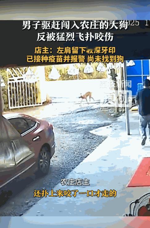 “太可怕了！”9月25日，广东韶关，一农庄老板正在看店，忽然，一只大黄狗遛进院里