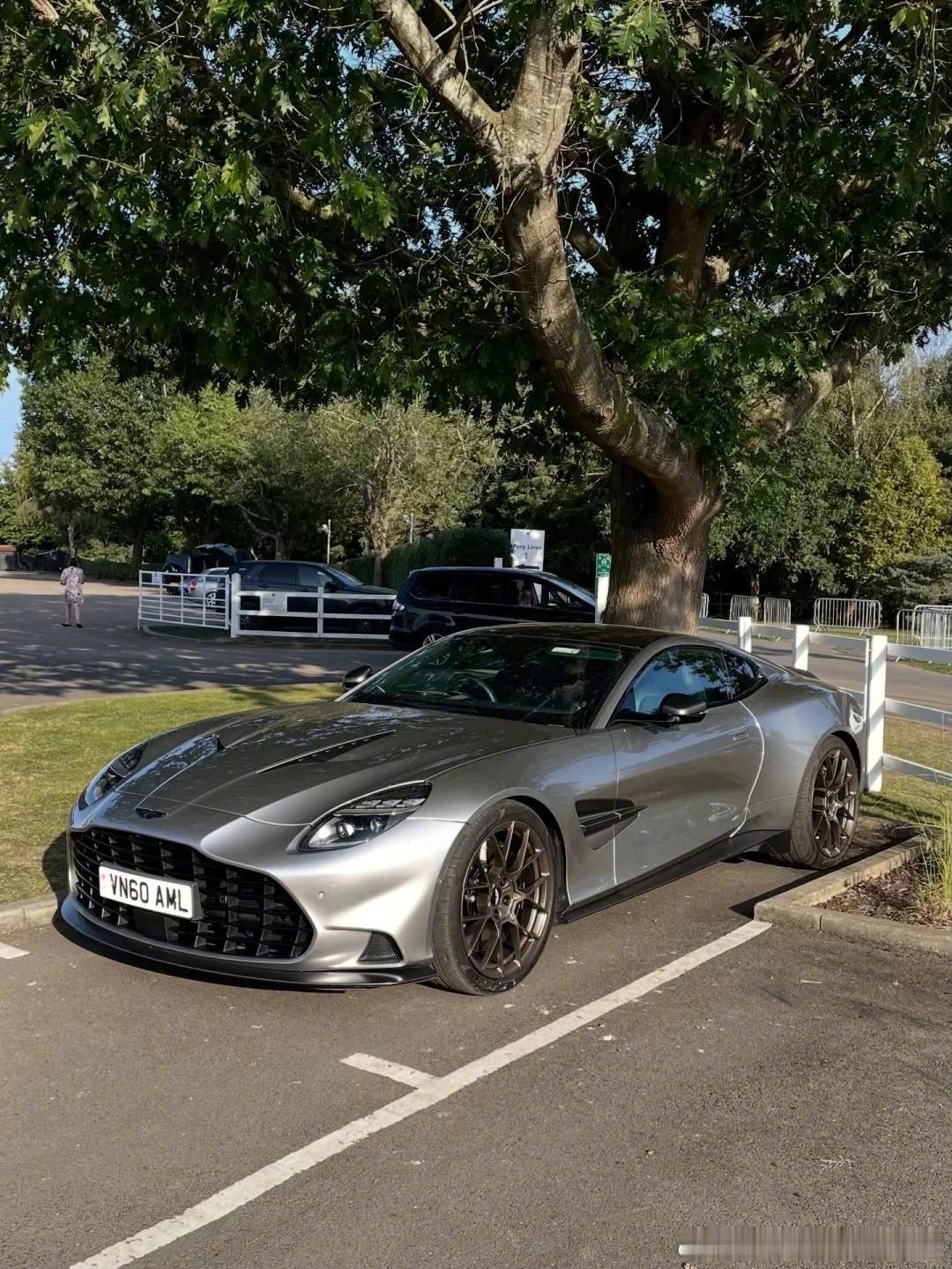 树下的阿马，过于优雅，周末早[送花花] ​​​