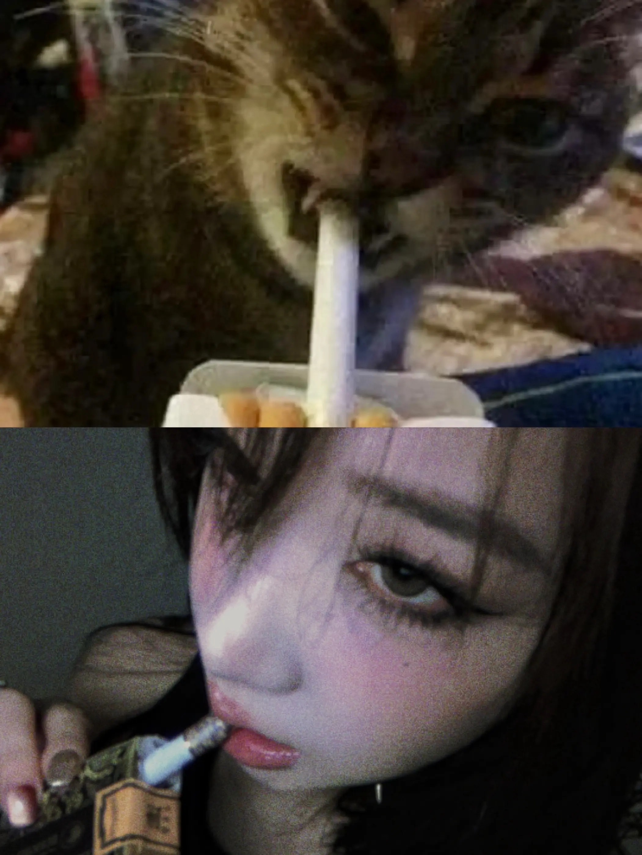 Meow🚬 Sorry,I kiss your girlfriend.