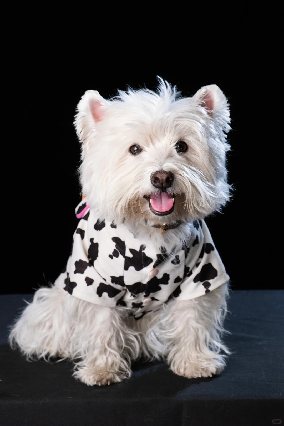 四岁的最后一个月