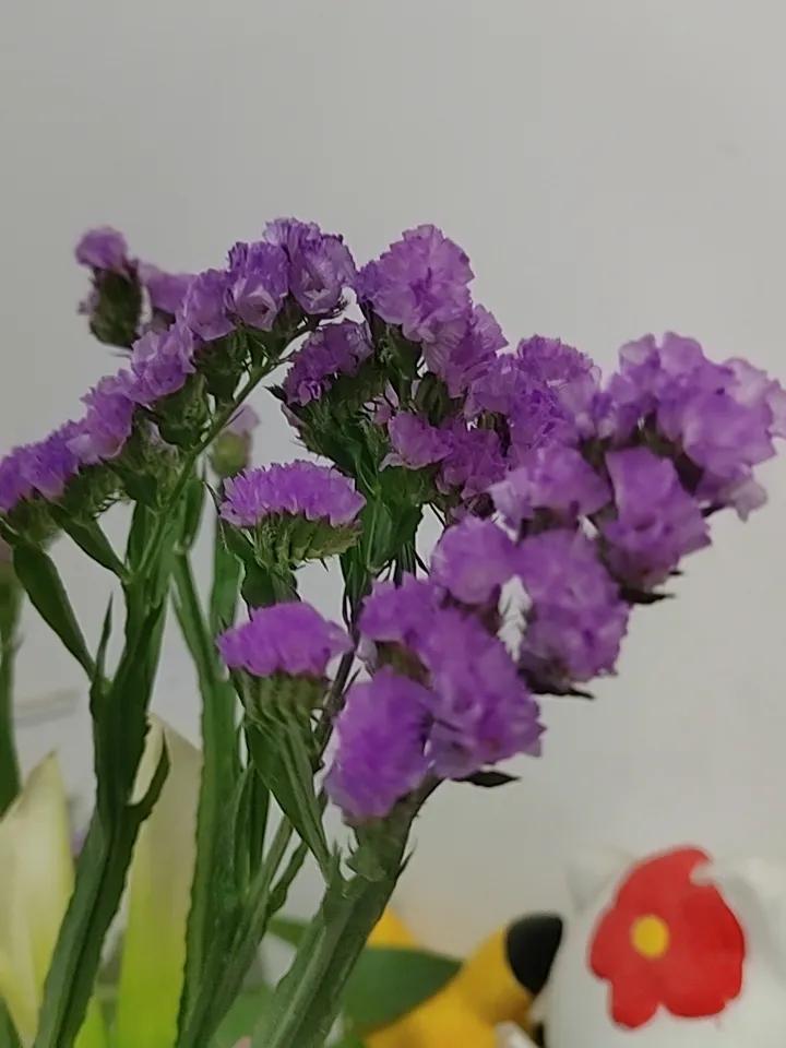 分享一张随手拍的花。猜一猜，什么花？