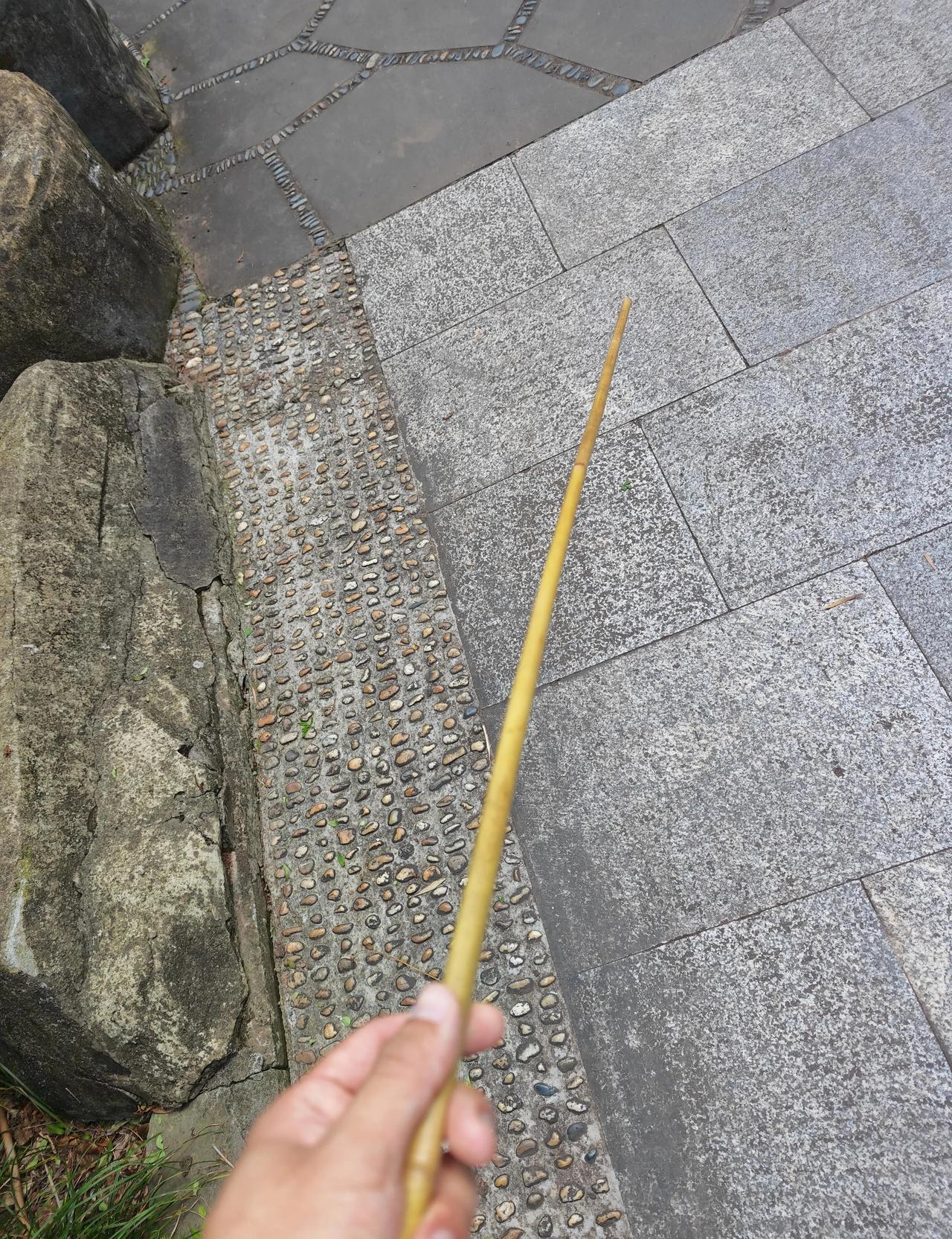 这根棍子如何评价？
这根棍子如何评价？
