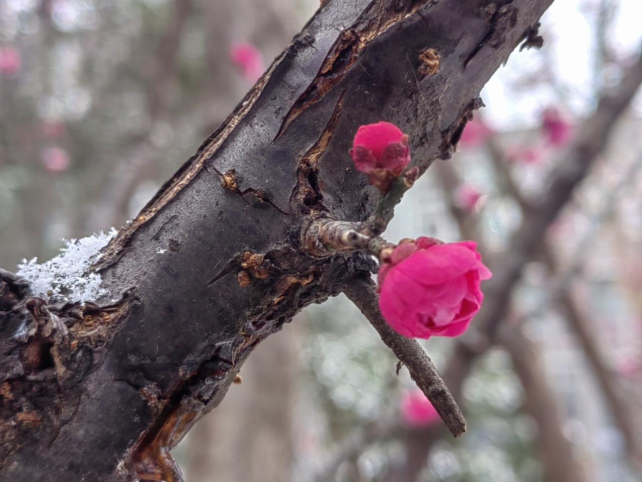 判断一个同事，可以参考他的“口气”。
此“口气”是真口气：说话时口中释放出来的气