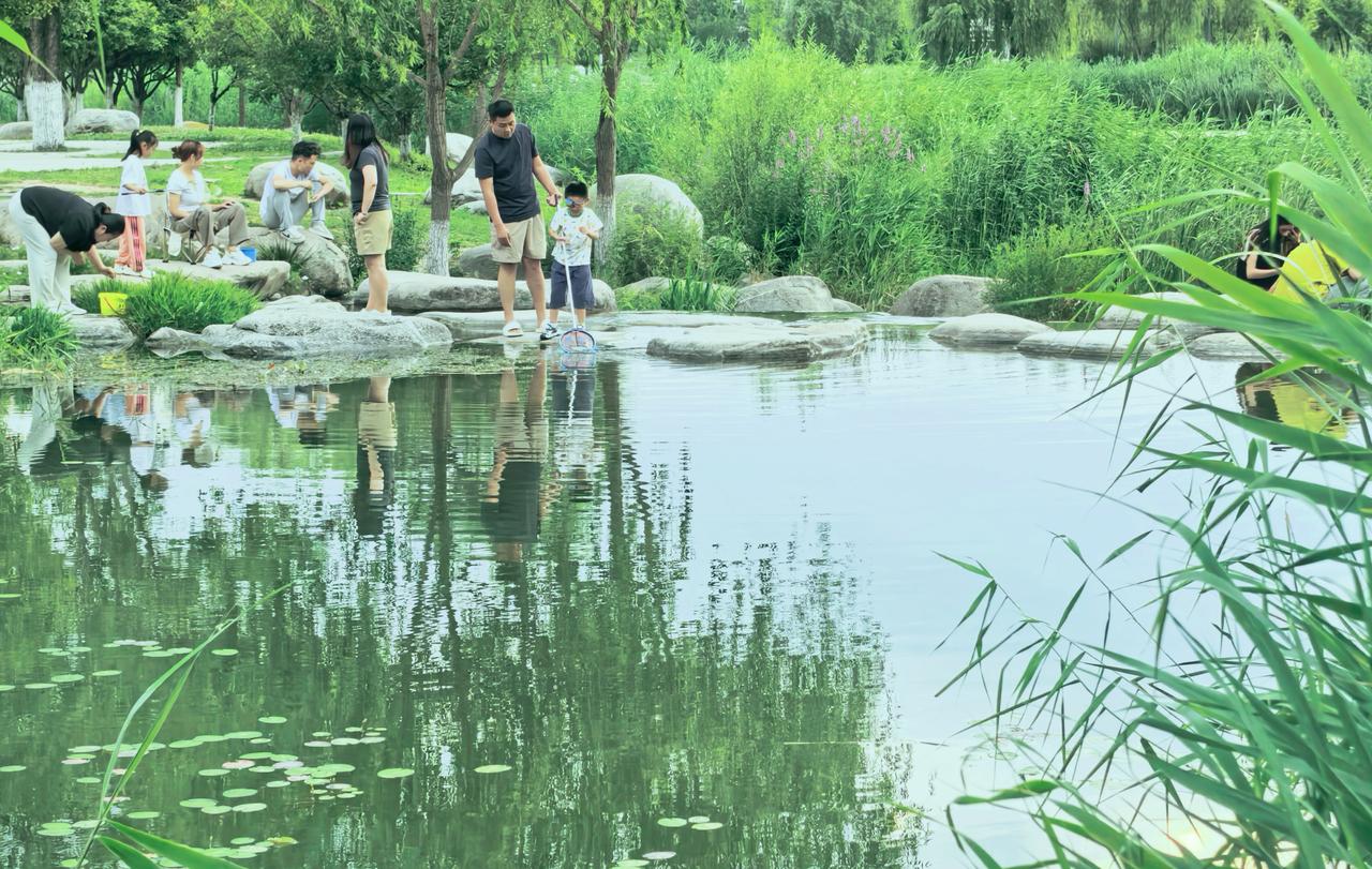 原来夏天最好的模样，是不用追赶时间——是孩子眼里的“鱼”，是爸爸、妈妈的“闲”，
