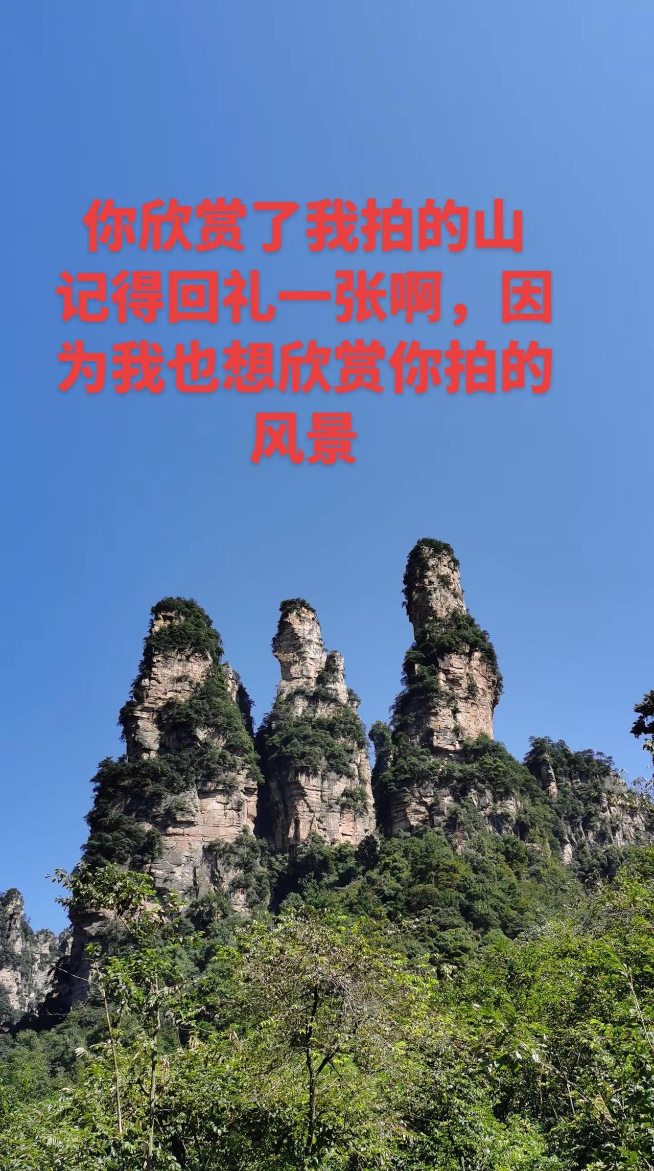 回礼一张你拍的风景吧，我也想欣赏。张家界自然风景区 我的张家界天门山之旅 张家界