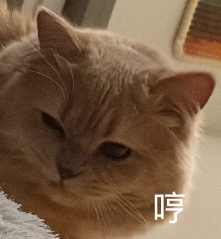 港任官网的兑换码果然是人工发的吗，周末没人上班，几个小时过去了还没发给我