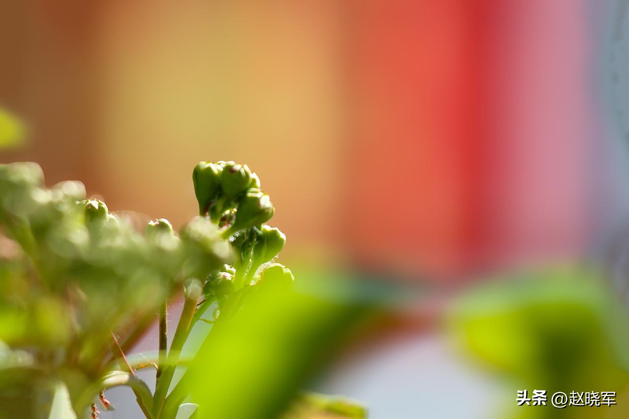 退休后玩摄影,拍什么题材最合适?拍自己喜欢的，就是最合适的。

2016年退休后