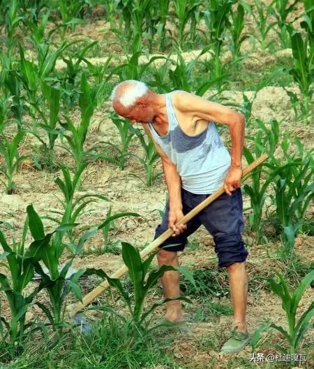 这几天有代表呼吁要提高一下农民的养老金，毕竟一二百块钱确实有点低了，某些人听了却