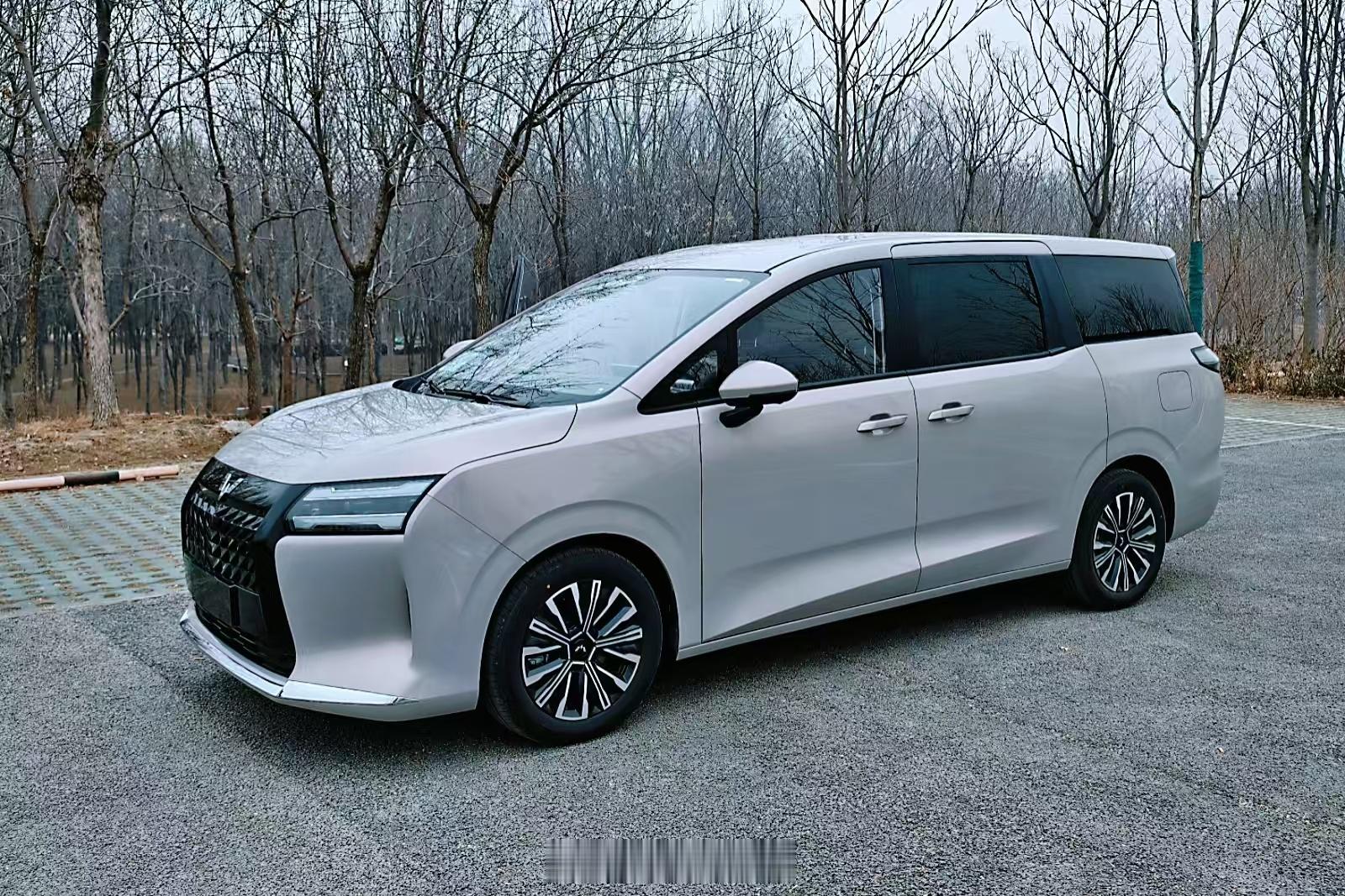 有一说一，五菱星光730 的油耗真不赖。不用看上面那两行，光看最下面平均油耗就行