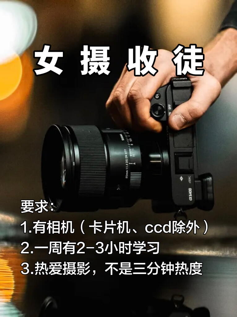 半夜突然很想交人摄影😭