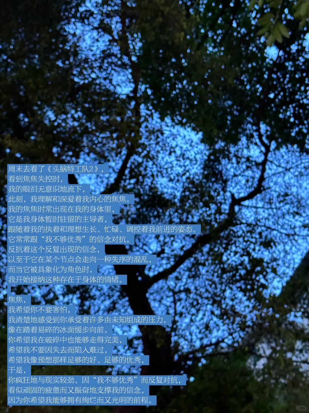 鲜活是我，枯萎是我，我接纳每一种情绪的我。