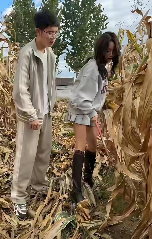霜打叶枯黄，
遍地五谷香。
夫妻心中喜
又到金秋忙。