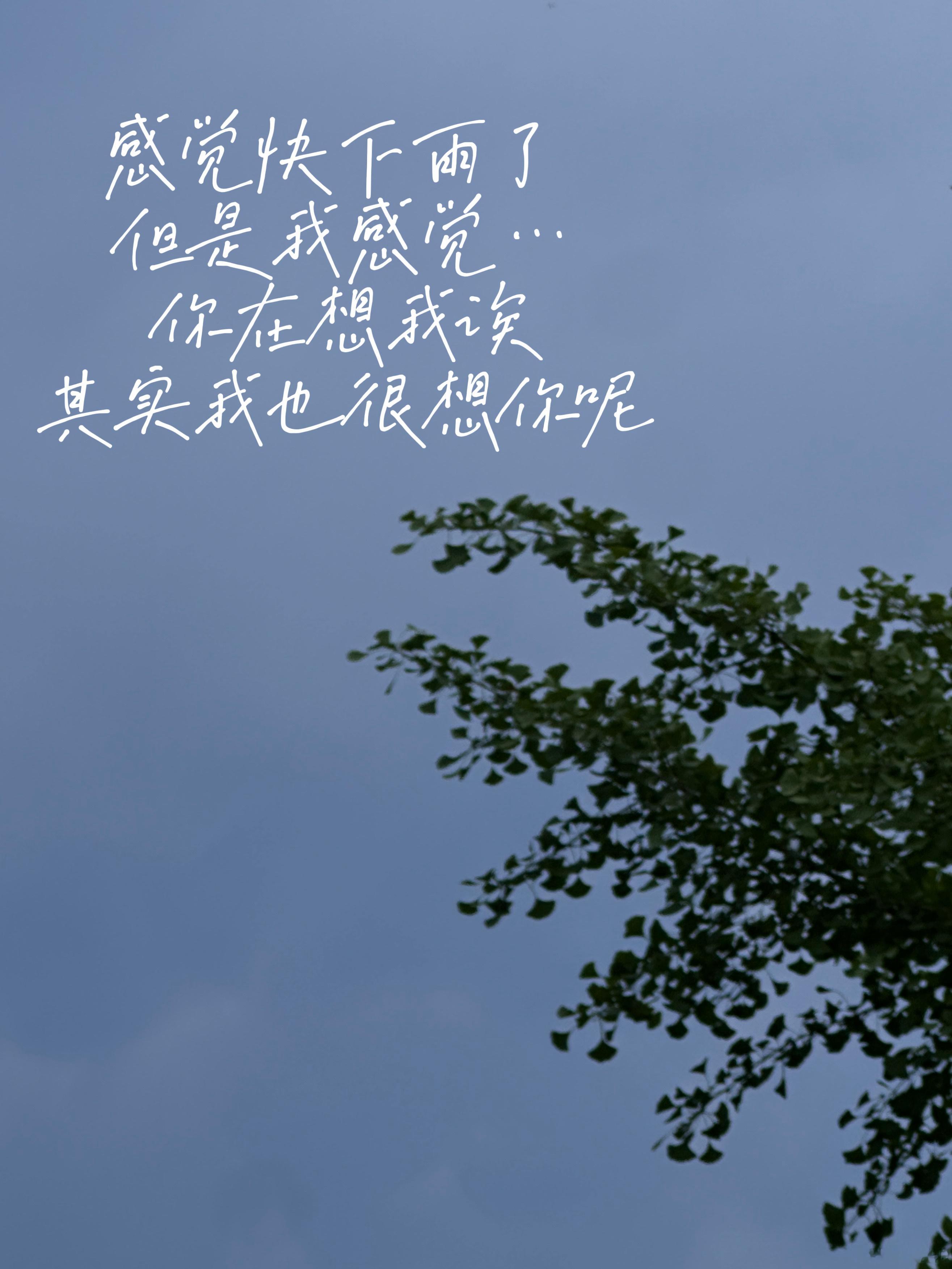 东东😭😭😭😭😭我要一辈子宝着李煜东 