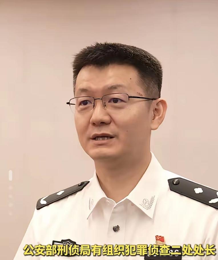 8200 多人一夜落网！这哪是抓罪犯，这是把藏在地下的雷一锅端了！

8 月 1
