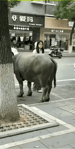 生活里很多意外，根源都是一时随性的小动作，总觉得无伤大雅，风险偏偏藏在侥幸里。